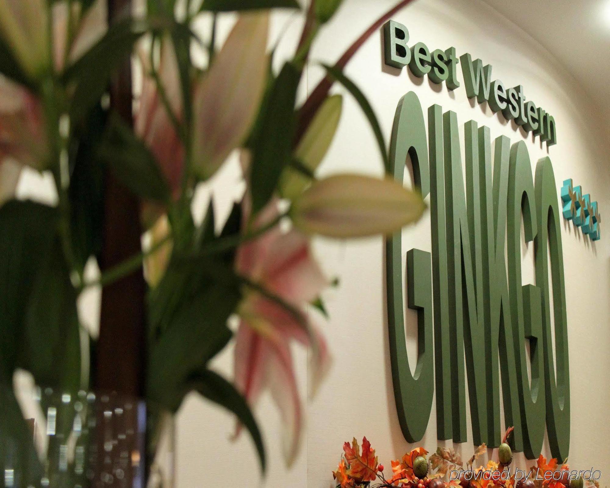 Hotel Ginkgo Hódmezővásárhely Buitenkant foto